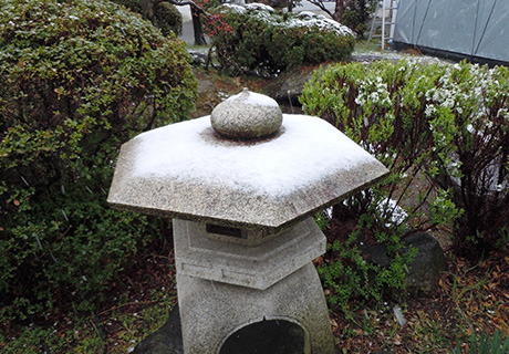 庭の雪