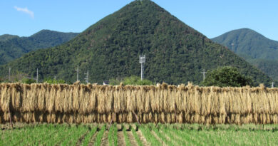 国民から極めて厳しい審判　本当に変われるか