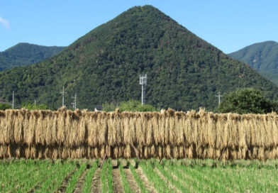 国民から極めて厳しい審判　本当に変われるか